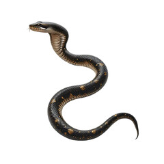 Patterned Snake Nature's Intricate Design