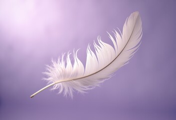 Obraz premium Elegant white feather gracefully floating against a soft purple background