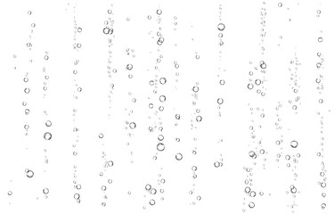 Oxygen air bubbles  flow  in water on white  background.