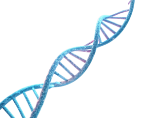 dna strand on white background