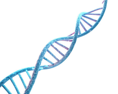 dna strand on white background