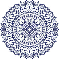 Beautiful flower art and mandala vector design