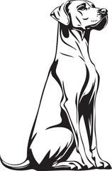 sitting Rhodesian Ridgeback dog