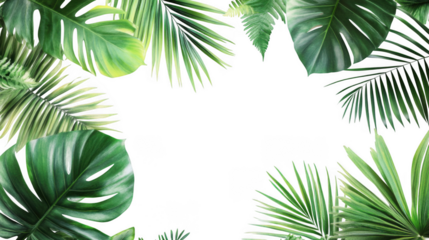 A frame of vibrant green tropical leaves surrounding a dark black central space for text or images