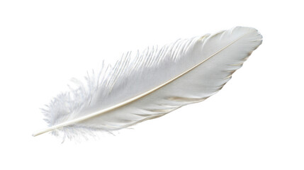Obraz premium Close up of a single white feather with a black background in a studio setting isolated
