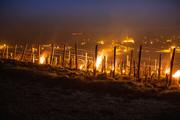 Bougies ou chaufferettes allumées dans les Chablis Grands Crus - Nuit du 27 avril 2016