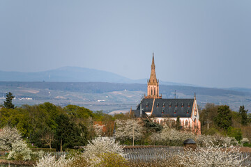 Rochuskapelle und Altkönig im Taunus, April 2025