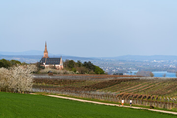 Rochusberg, April 2025