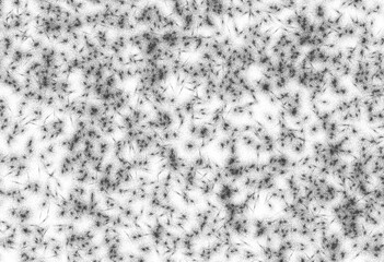 Abstract grunge black and white distressed texture background, Isolated on white background. PNG	