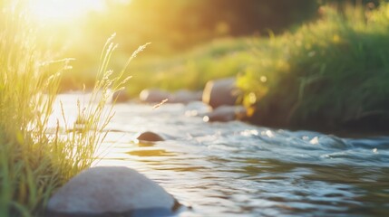 Tranquil river at sunset with lush greenery and soft sunlight
