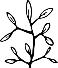 Hand drawn plant doodle icon. Hand drawn black sketch. Sign symbol. Decoration element. White background. Isolated. Flat design. Vector illustration
