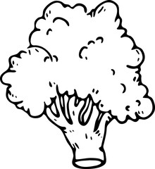 Hand drawn broccoli doodle icon. Hand drawn black sketch. Sign symbol. Decoration element. White background. Isolated. Flat design. Vector illustration