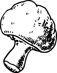 Hand drawn mushroom doodle icon. Hand drawn black sketch. Sign symbol. Decoration element. White background. Isolated. Flat design. Vector illustration
