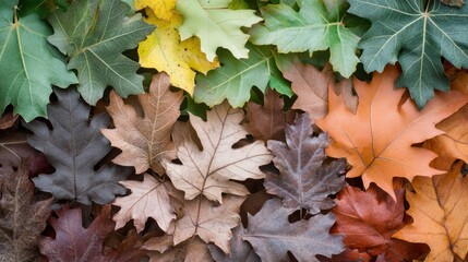 Autumn Leaf Tile Mosaic