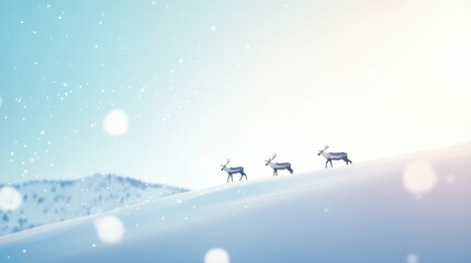 Fototapeta premium Reindeer trio on snowy hill under soft winter light