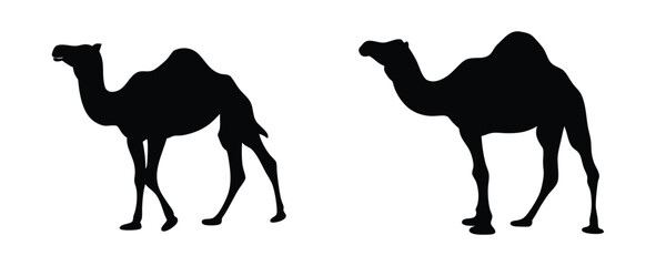 set of camel silhouettes vector illustration