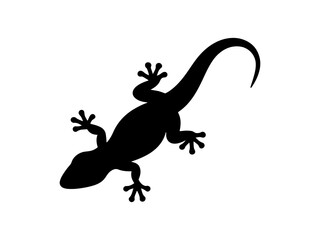 Obraz premium Close up house lizard silhouette vector flat illustration design.