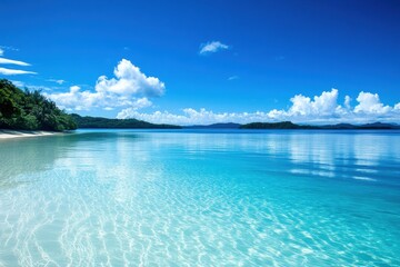 Fototapeta premium Pristine tropical beach, turquoise water, clear sky