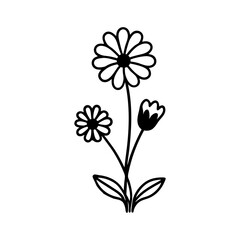A Beautiful Flower Line Art Illustration.