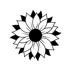 A detailed Sunflower close up silhouette