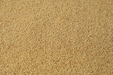 Organic Uncooked Amaranth Close-Up Top View.