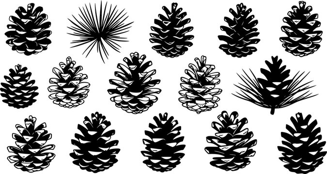 set of Pine cone icon. Set of black pine cone icons. Pine cone symbol. Vector illustration
