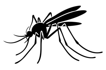 Silhouette of mosquito 
