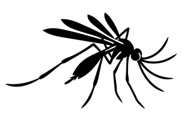 Silhouette of mosquito 
