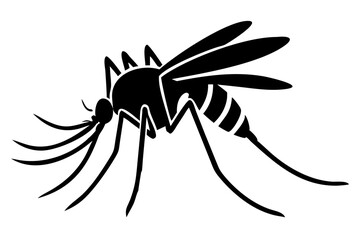 Silhouette of mosquito 