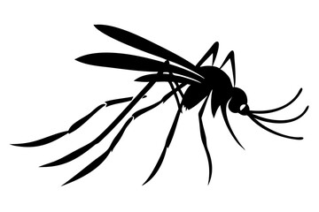 Silhouette of mosquito 