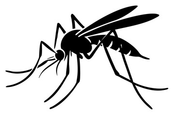Silhouette of mosquito 