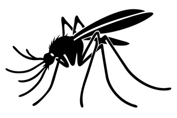 Silhouette of mosquito 