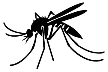 Silhouette of mosquito 