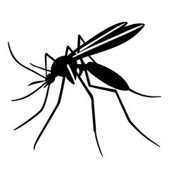 Silhouette of mosquito 