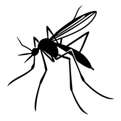 Silhouette of mosquito 