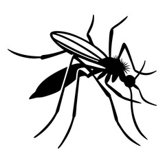 Silhouette of mosquito 