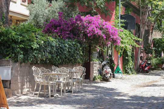 vivid photographs in nature taken on summer day on Cunda Island. Pink bougainvillea tree. White, ecru, cream colored chairs, doors, walls. Vintage designs for restaurants, cafes in touch with nature