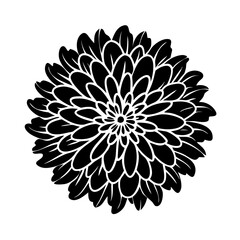 A Completely Black Image with No Visual Content or Details