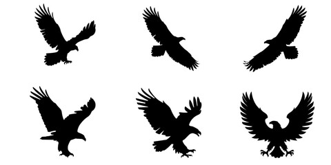 Fototapeta premium Flying Eagle Silhouette Set In Motion For Wildlife Freedom And Bird Watching Design Concept