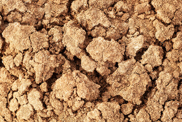 Detailed view of dry soil texture in a rural area showcasing natural earth formations under sunlight