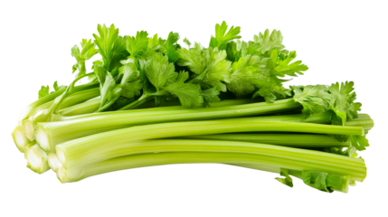 Fresh celery stalks, green, leafy, nutrient rich, cut out transparent