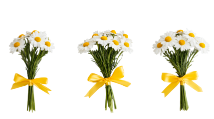 Three daisy bouquets with yellow ribbons on black, cut out transparent
