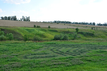 Obraz premium Vast Green Field Under a Clear Sky in sunset