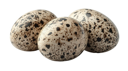 Fototapeta premium Speckled Eggs: A trio of intricately speckled eggs are presented, showcasing their natural beauty and unique pattern. Their speckled detail is a testament to nature's intricate design