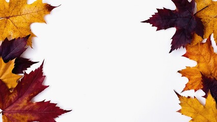 Fall decorations made of leaves on white background