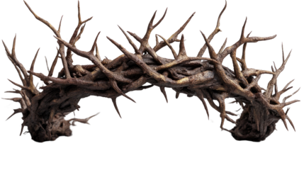 Thorny Crown of Thorns: A striking image presents a meticulously crafted crown of thorns, symbolizing sacrifice, devotion, and the weight of a sacred calling.