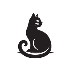 black cat on white background