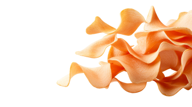 Abstract beige spirals design element, textured, shape, isolated, cut out transparent - Powered by Adobe