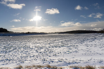 an agricultural field under snow in the cold winter in cloudy weather