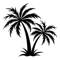 Fototapeta premium Plam tree silhouette on white background